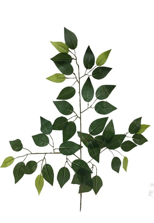 Ficus Tact. Natuurlijk X42 groen blad